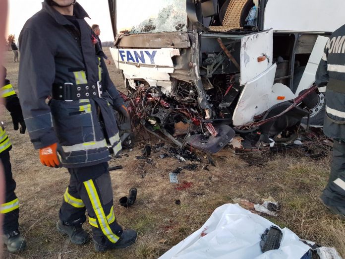 53614363_263941567829993_7696454138845986816_n