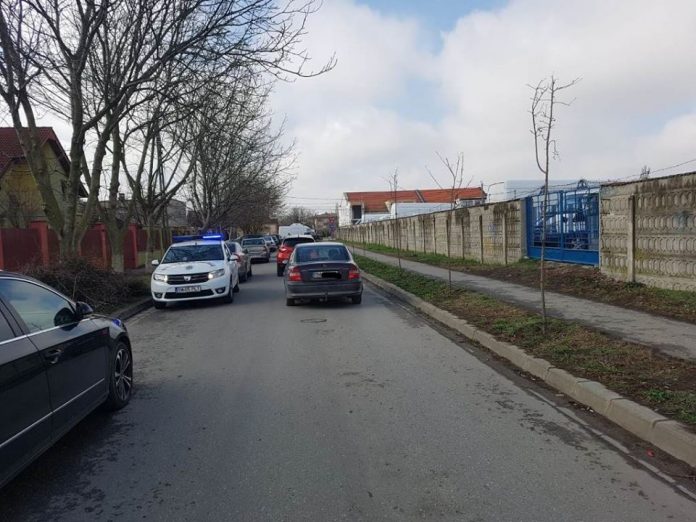 amenzi flavia masini