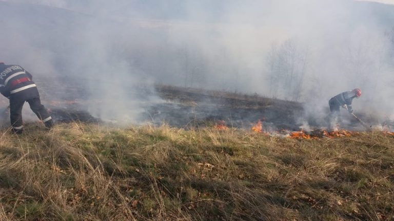 Incendiu de vegetație uscată extins pe 20 de hectare în vestul țării. Mobilizare de forțe