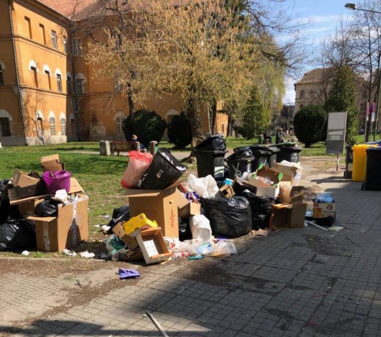 Rampă de deșeuri în inima Timișoarei, lângă Castelul Huniade