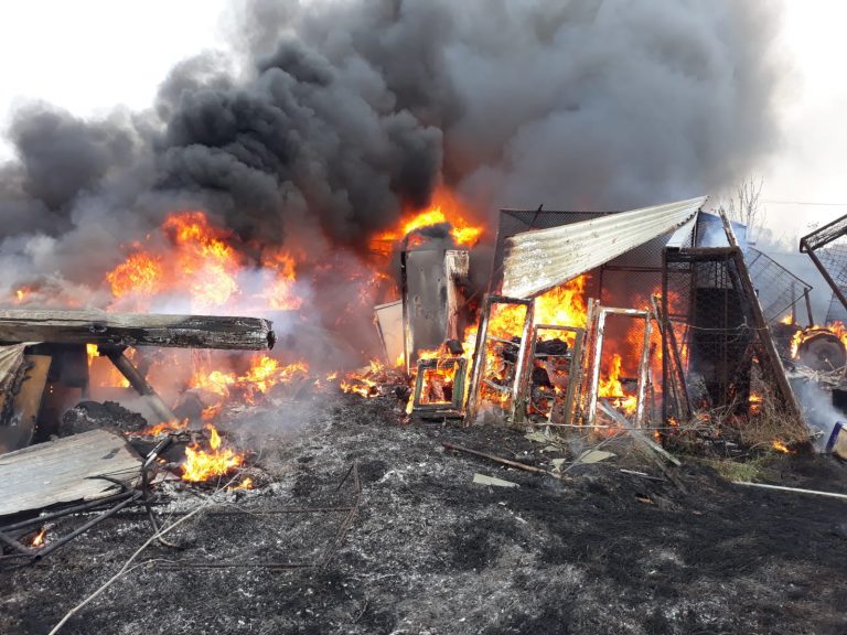 Luptă grea cu flăcările propagate de vânt, la ieșirea din Arad FOTO