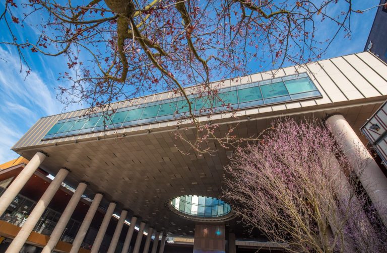 Ateliere de creaţie, teatru de păpuşi şi târg de antichităţi, la Iulius Mall