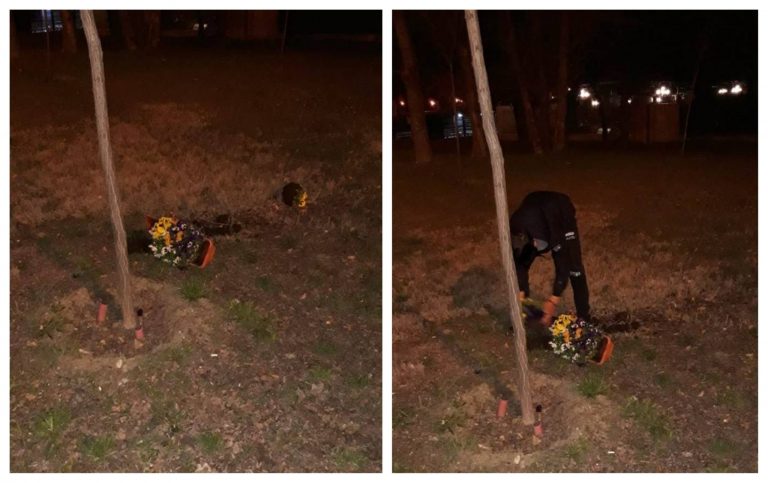 ”Distracția” cu jardiniere nu încetează la Timișoara. A fost prins un nou vandal