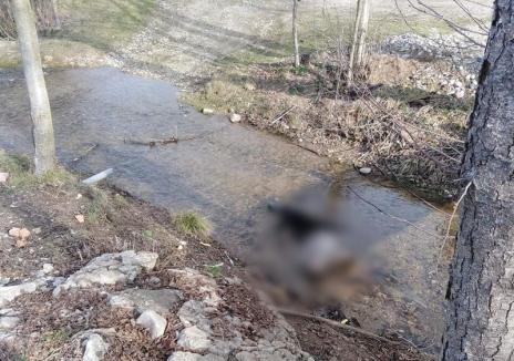 Bărbat găsit mort într-o vale din judeţul Bihor