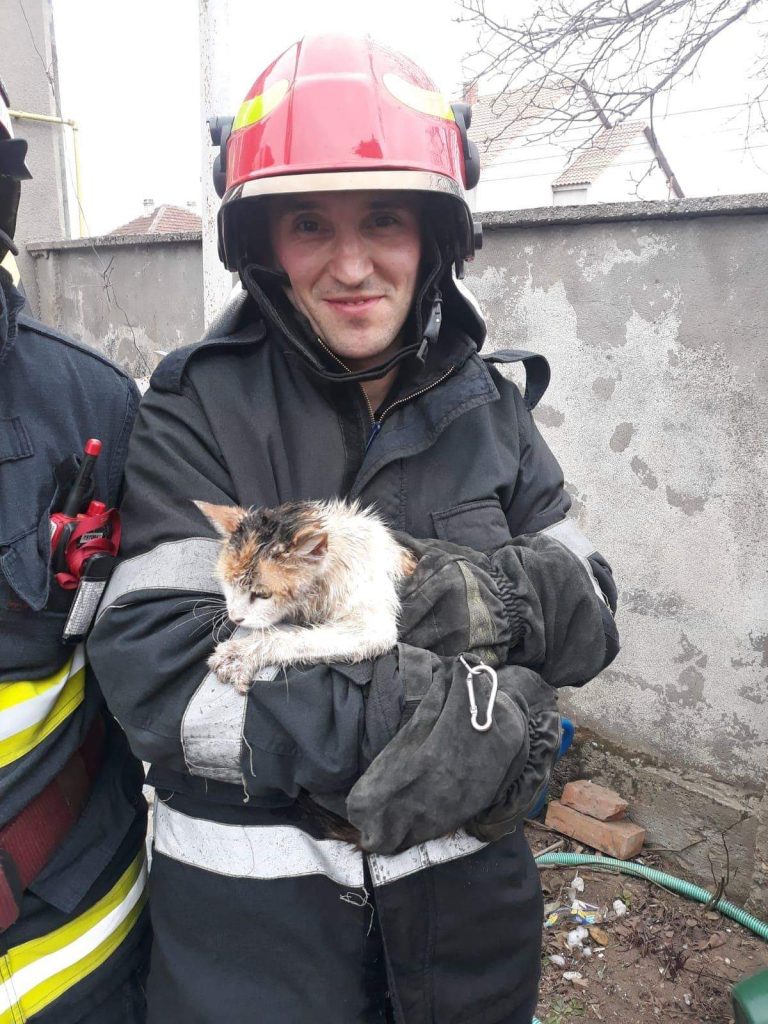 Pisică salvată de pompieri după ce a căzut în fântână