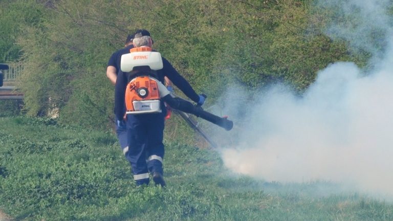 Continuă „lupta” cu țânțarii, la Timișoara