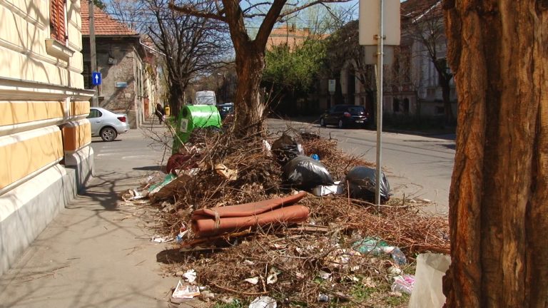 Primăria, amendată drastic pentru mizeria din Timișoara