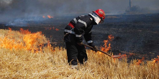 Hectare întregi de pădure și teren agricol, mistuite de flăcări în Hunedoara VIDEO