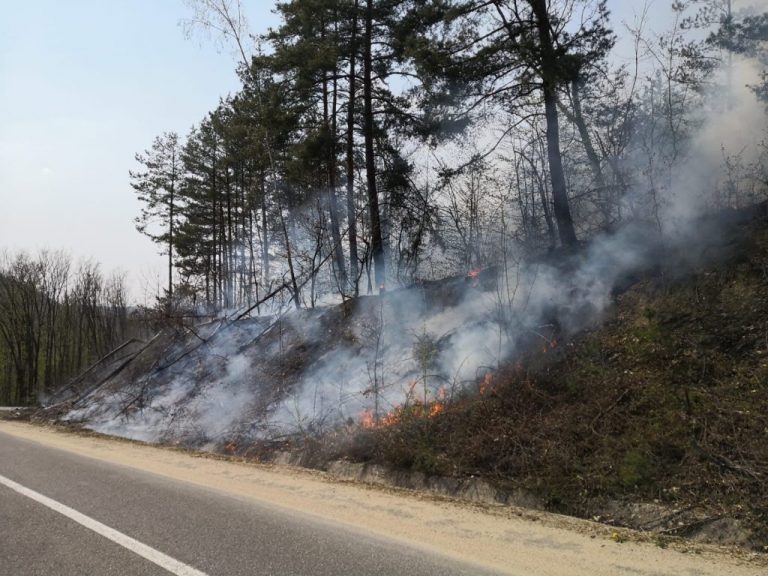 Traficul pe DN7, afectat de un incendiu de vegetație FOTO