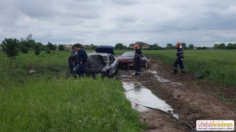 Două autoturisme au luat foc, pe un câmp, la Arad