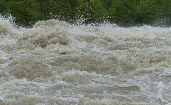 COD ROȘU de inundații pe râurile din Timiș și Caraș-Severin. Pompierii intervin la mai multe gospodării inundate VIDEO
