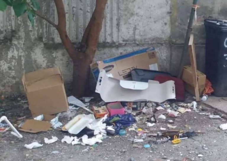 Curățenia și gălălgia, marile probleme de la periferia Timișoarei