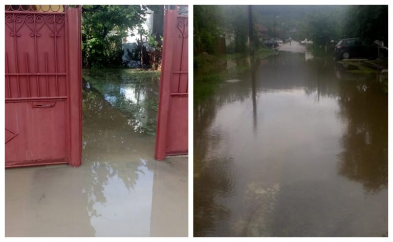 Gospodării inundate și la Arad. Apa a ajuns pe șosea. FOTO