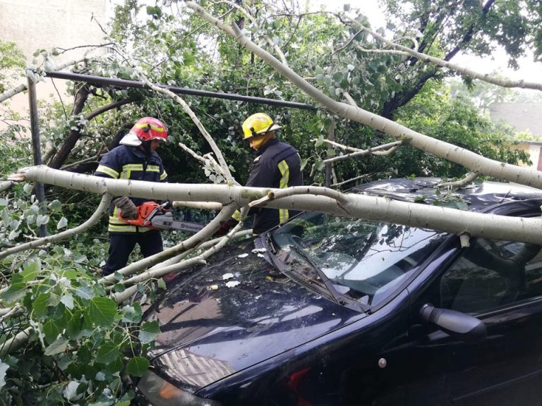 Vijelia de noaptea trecută încă are efecte. Copaci prăbușiți pe mașini la Timișoara