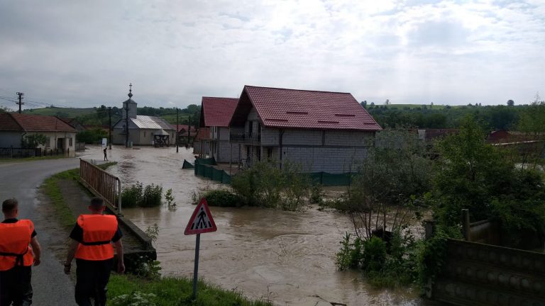 Bilanțul inundațiilor din Timiș: zeci de curți pline de apă și un drum blocat FOTO/VIDEO