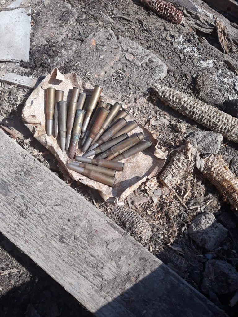 Zeci de cartușe vechi, descoperite în vestul țării