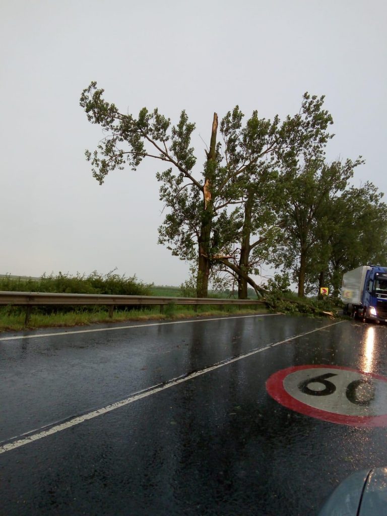 Pericol rutier pe DN79. Copacii de pe marginea drumului sunt un pericol pentru șoferi, avertizează un primar