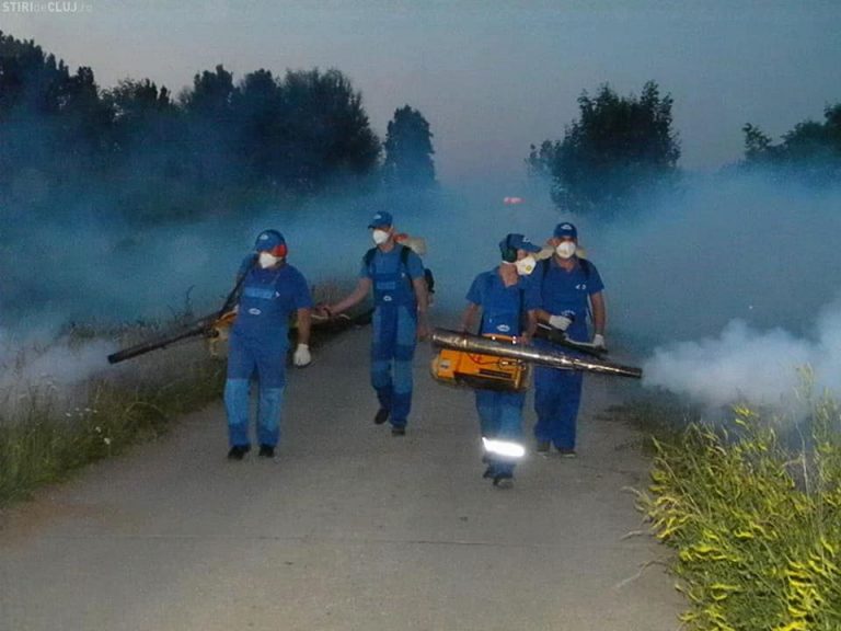 Începe lupta împotriva țânțarilor, la Timișoara