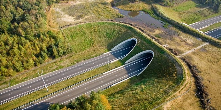 Ecoductele de pe autostrada Lugoj-Deva costă 180 de milioane de euro