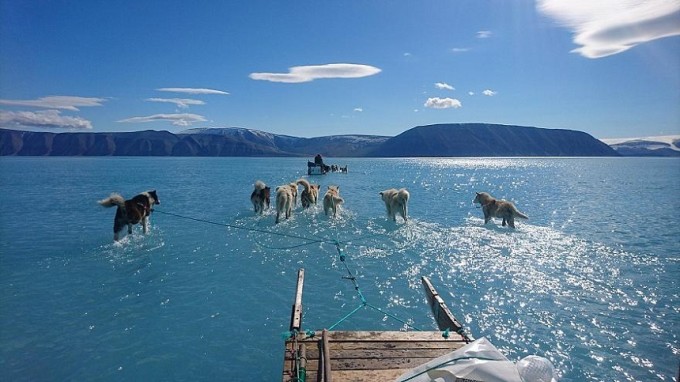 Fotografia uluitoare care arată fața dezastrului din Groenlanda
