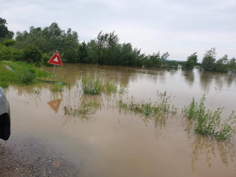Pompieri, în lacrimi, la vederea cadavrelor copiilor înecați