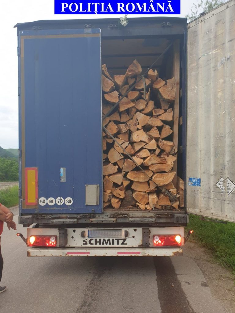 Cum să furi lemn legal? O nouă metodă de înșelăciune în România