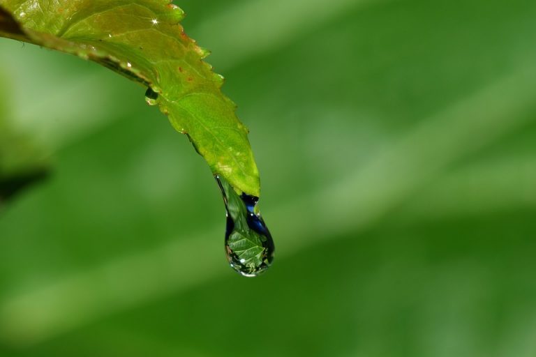 Cum va fi vremea astăzi și mâine în Banat