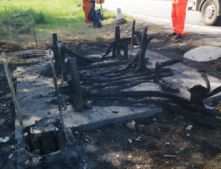 Imaginea zilei vine de la DRDP Timișoara