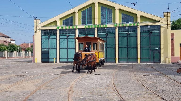 Tramvaiul tras de cai iese pe traseu FOTO