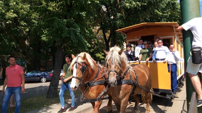 Tramvaiul tras de cai a ieșit, din nou, pe străzile Timișoarei FOTO-VIDEO