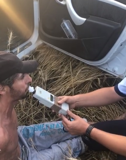 Un şofer rupt de beat, prins de poliţişti în lanul de grâu, a început să plângă în timp ce sufla în fiolă