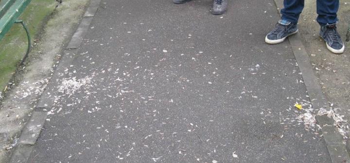 Un arădean care arunca pe jos coji de seminţe, amendat cu 1.500 lei şi pus să măture