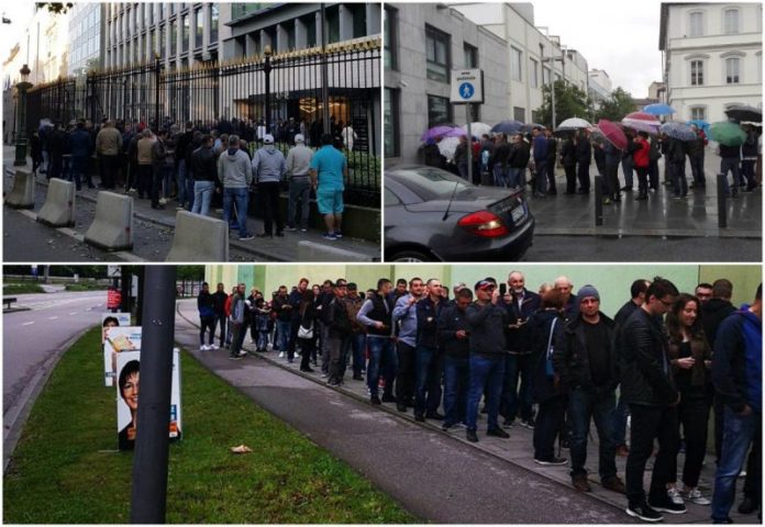 cozi-diaspora-alegeri-2019