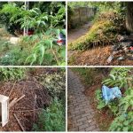 67566075_1030902850438111_4180483074414346240_n