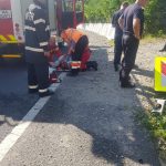 67872516_362601847745416_7385382387879772160_n