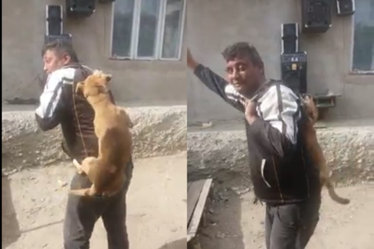 Cruzime fără margini! Un bărbat beat dansează cu câinele spânzurat de gât (VIDEO)