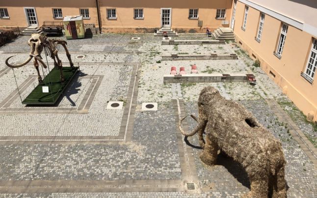 Paradisul de la granița de vest a României