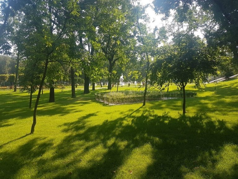 Timișoara va avea un nou parc. Spațiul de recreere, o „compesare” pentru copacii tăiați în oraș
