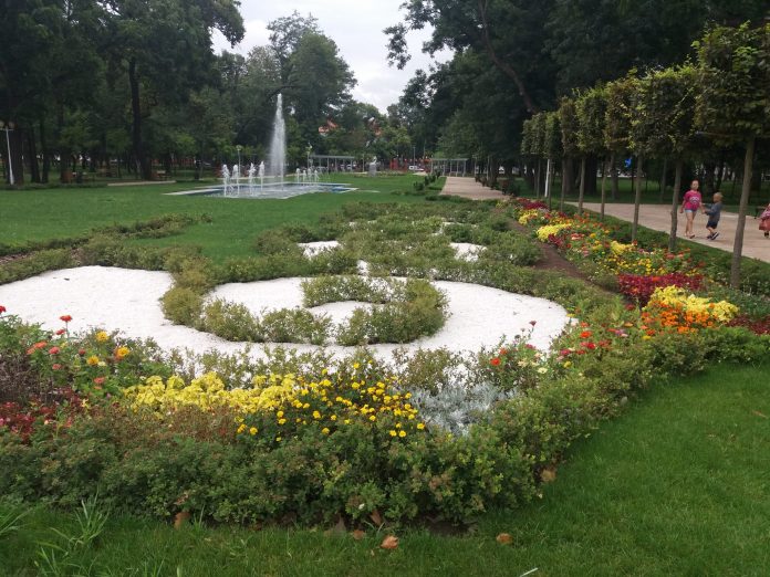 parcul central (29)