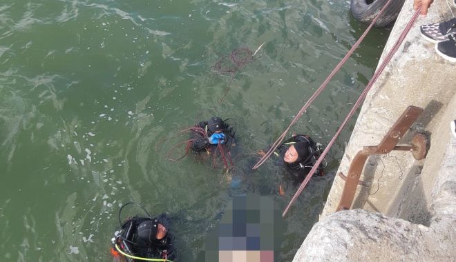 70338548435403207075885785706228-1568012007