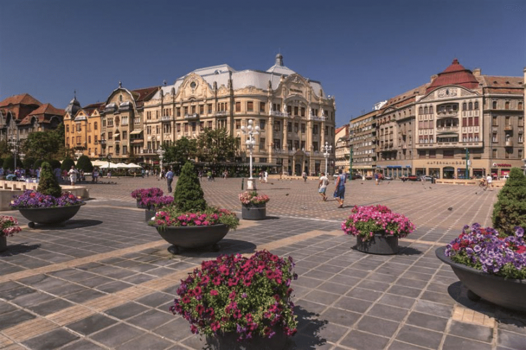 Piața Victoriei mai găzduiește un festival în septembrie