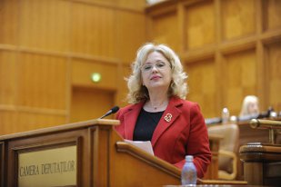 Cine este Camelia Gavrilă, propusă de Viorica Dăncilă la conducerea ministerului Educaţiei
