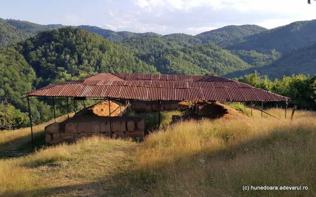 Cetatea Dacică Costești are nevoie urgentă de reabilitare. Se caută voluntari