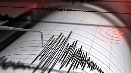 Cutremur la 60 de kilometri de Timișoara! Care sunt efectele seismului