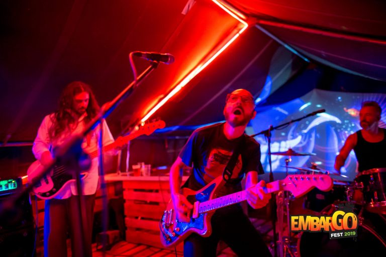 Embargo Fest/Hub se finalizează cu plantare de copaci dar la anul continuă
