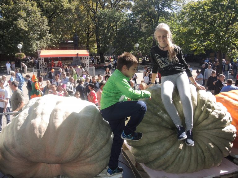 Dovleacul uriaș de la Kikinda atinge un nou record