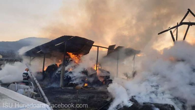 Incendiu puternic în vestul țării