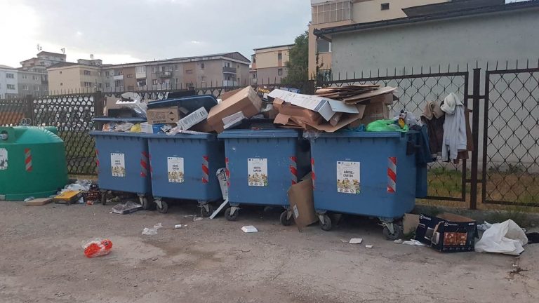 Hunedoara | Operatorul regional de salubritate, amendat cu peste 52.000 de lei, pentru neridicarea gunoiului