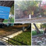 72690860_749012298855661_3329493505813774336_n