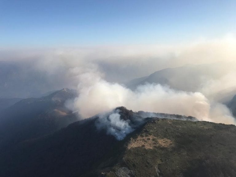 Update: Elicopterul solicitat pentru stingerea incendiilor de pădure din Caraș-Severin nu a putut interveni. Lupta cu flăcările continuă la sol